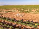 TBD County Road 158 - Photo 4