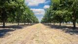 4075 Us Highway 190 - Photo 17