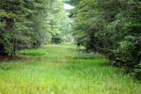 TBD Moon Lake Rd - Photo 16