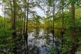 TBD Moon Lake Rd - Photo 18