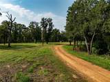 TBD Moon Lake Rd - Photo 9