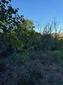 TBD Adobe Hill Drive - Photo 7