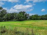 TBD County Road 3561 - Photo 7
