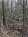 0 County Road 3460 - Photo 6