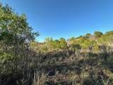 Lot 648 Canyon Wren Loop - Photo 10