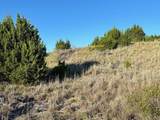 Lot 648 Canyon Wren Loop - Photo 5