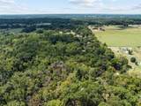 24751 County Road 460 - Photo 10