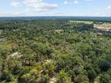 24751 County Road 460 - Photo 5