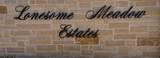 9824 Terry Meadows Lane - Photo 4