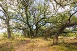 38 County Road 550 - Photo 24