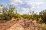 38 County Road 550 - Photo 28