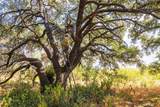 38 County Road 550 - Photo 5