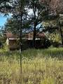 234 Private Road 34615 - Photo 4