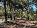 11420 County Road 420 - Photo 20