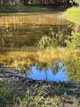 11420 County Road 420 - Photo 25