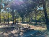11420 County Road 420 - Photo 31