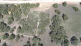 0 Red Oak Hills Road - Photo 5