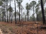 TBD County Road 3121 - Photo 15