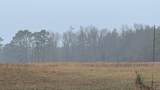 TBD County Road 3121 - Photo 30