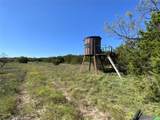 TBD County Road 386 - Photo 25