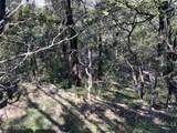 TBD County Road 386 - Photo 28