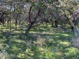 TBD County Road 386 - Photo 29