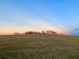 5900 County Road 1017 - Photo 2