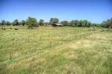 TBD Farm Road 3236 - Photo 26