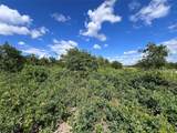 TBD Lot 10 Live Oak Trail - Photo 11
