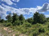 TBD Lot 10 Live Oak Trail - Photo 13