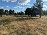 312 Old Waco Road - Photo 3