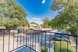 7510 Holly Hill Drive - Photo 21