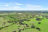 TBD 252.78 Acres Dan Morgan Road - Photo 10