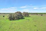 TBD 252.78 Acres Dan Morgan Road - Photo 19