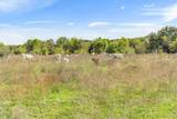 TBD 252.78 Acres Dan Morgan Road - Photo 33