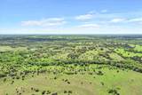 TBD 252.78 Acres Dan Morgan Road - Photo 8