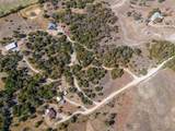 TBD 2 Louis Scherer Road - Photo 14