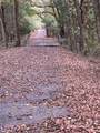 0 State Highway 24 - Photo 10