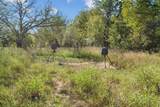 TBD County Road 136 - Photo 22