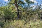 TBD County Road 136 - Photo 27