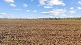 TBD County Road 136 - Photo 4