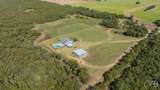 870 County Road 137 - Photo 2