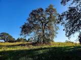 Lot 155 Lago Vista Drive - Photo 29