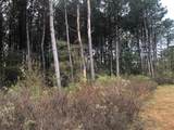 TBD County Road 4130 - Photo 6