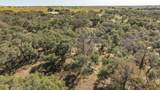 Lot 12 Pecan Valley Drive - Photo 16