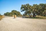 Lot 12 Pecan Valley Drive - Photo 4