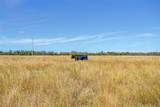 Tract 3 County Road 410 Road - Photo 8