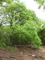 TBD Catholic Cemetery Rd. - Photo 14