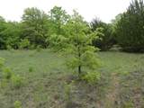 TBD Catholic Cemetery Rd. - Photo 25