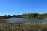 TRACT 3 Fm 3080 - Photo 8